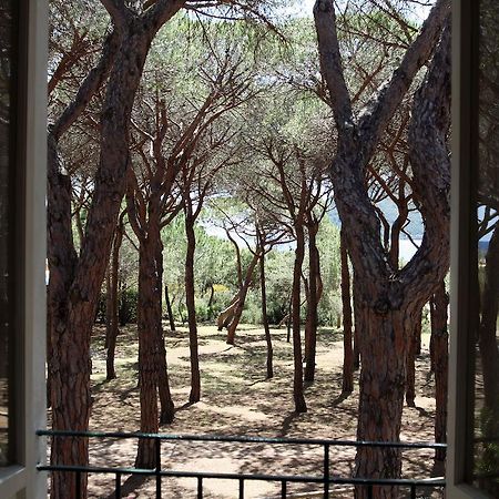 Hotel Villa Nettuno مارينا دي كامبو المظهر الخارجي الصورة