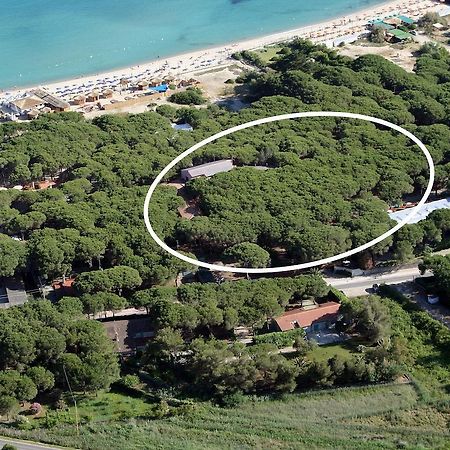 Hotel Villa Nettuno مارينا دي كامبو المظهر الخارجي الصورة