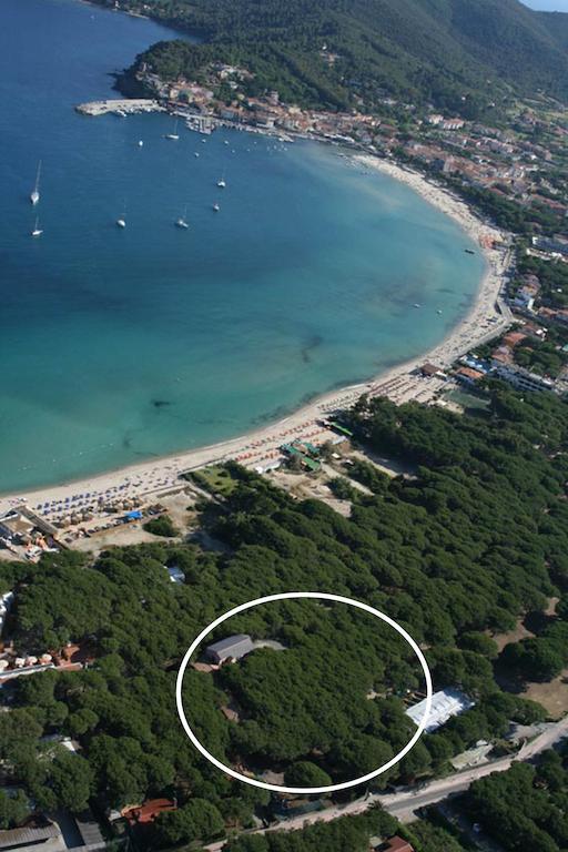 Hotel Villa Nettuno مارينا دي كامبو المظهر الخارجي الصورة