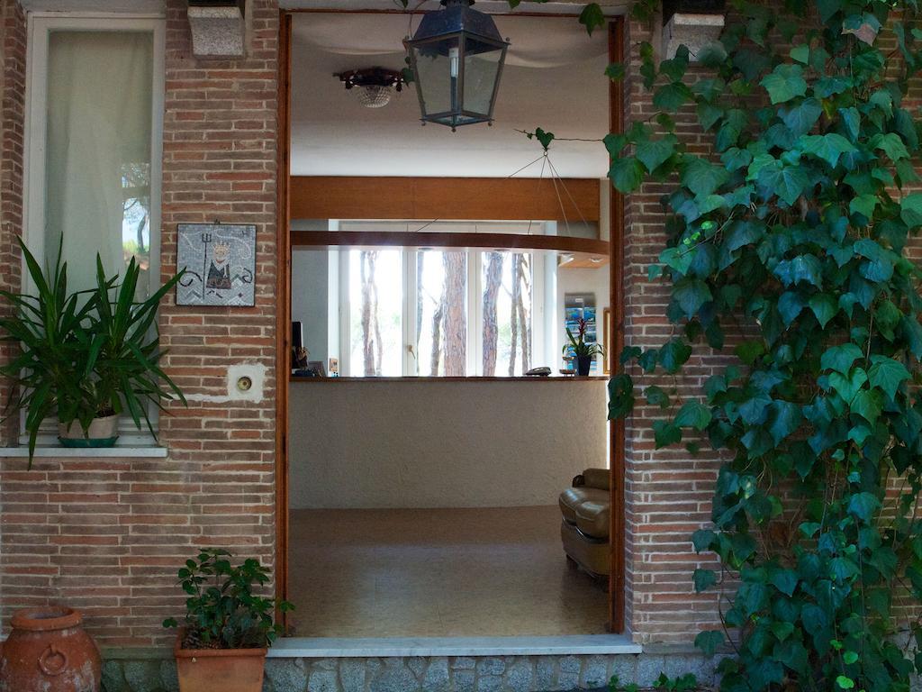 Hotel Villa Nettuno مارينا دي كامبو المظهر الخارجي الصورة